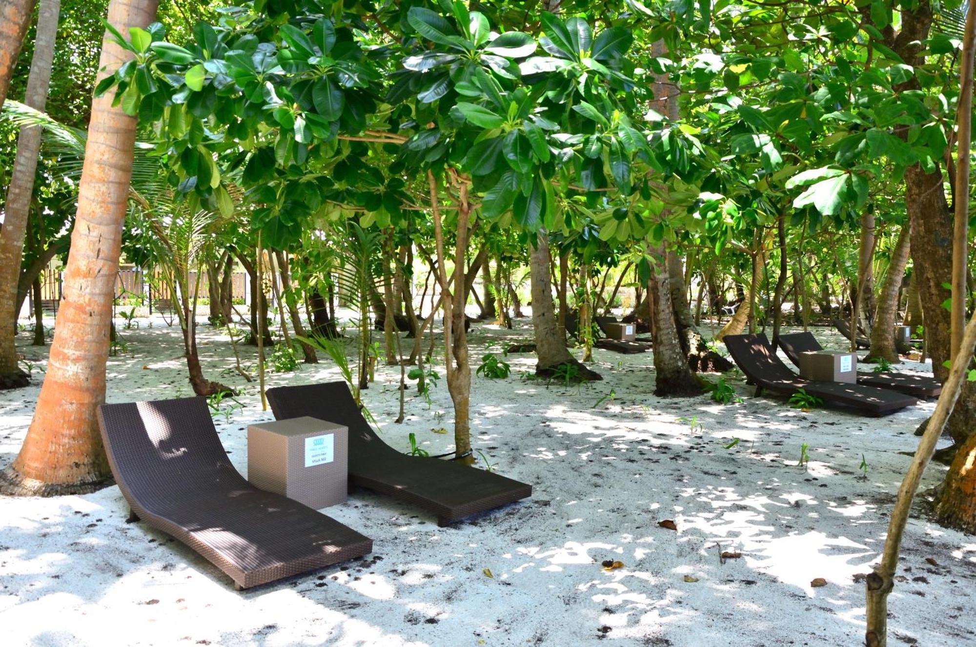 Three Hearts Guesthouse And Villas Fulhadhoo Chambre photo